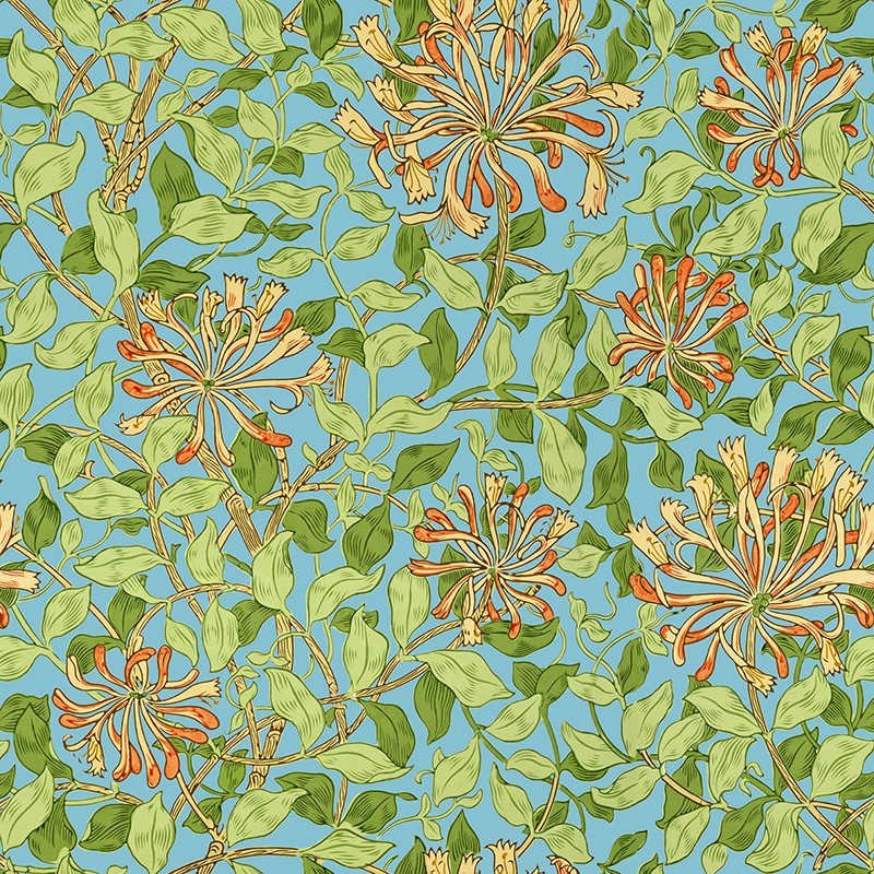 Honeysuckle Wallpaper