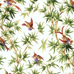 Birds of paradise Birds and hummingbirds Wallpaper