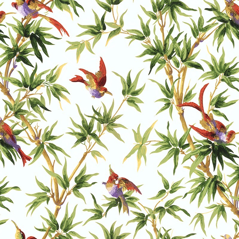 Papier peint exotique Oiseaux de paradis Papier peint exotique Oiseaux de paradis