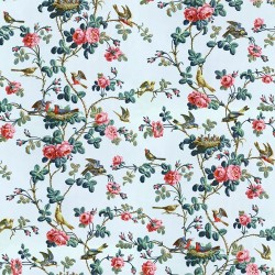 Papier peint Oisillons de la reine 18eme siecle