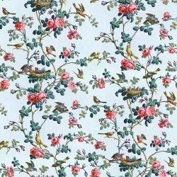 Queen's birdlets Wallpaper