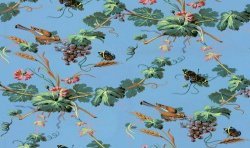Pampres,  butterflies and birds wallpaper
