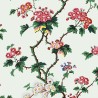 Wild roses Wallpaper