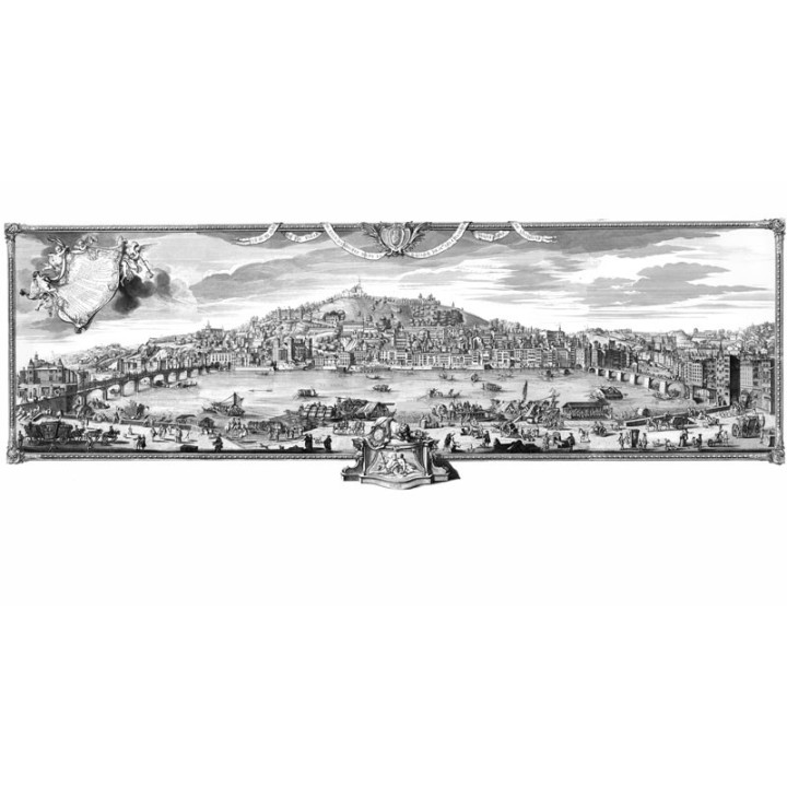 Papier peint Panoramique Vue de la colline de Fourviere et des quais de Saone Complet