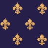 Fleur de Lys - Louis